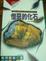 Cover of 憎惡的化石