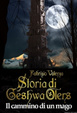 Cover of Il cammino di un mago