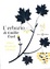 Cover of L'erbario di Emilie Vast
