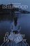 Cover of "A Meeting by the River"