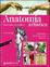 Cover of "Anatomia artistica"