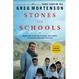 Cover of Stones Into Schools