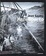 Cover of Mare Aperto