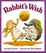 Cover of "Rabbit's Wish"