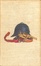 Cover of Il cane dei Baskerville