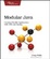 Cover of Modular Java