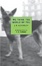 Cover of We Think the World of You