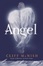Cover of Angel Hardback