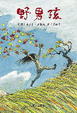 Cover of 野男孩