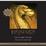 Cover of Brisingr