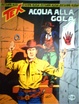 Cover of Tex nuova ristampa n. 309