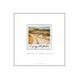 Cover of I journey with you here. Poems and polaroids
