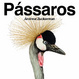 Cover of Pássaros