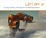 Cover of "Lift Off"