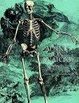 Cover of Albinus on Anatomy