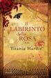 Cover of Il labirinto della rosa