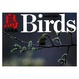 Cover of 鳥