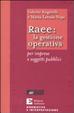 Cover of Raee: la gestione operativa per imprese e soggetti pubblici