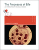 Cover of The Processes of Life