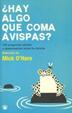 Cover of HAY ALGO QUE COMA AVISPAS
