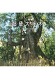 Cover of 超級大神木