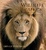 Cover of Wildlife of Africa
