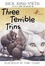 Cover of "Three Terrible Trins"