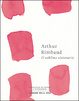 Cover of Il sublime visionario