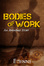 Cover of Bodies of Work