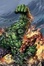 Cover of "Incredible Hulk, Vol. 8"