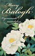 Cover of LIGERAMENTE ESCANDALOSO