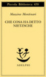 Cover of Che cosa ha detto Nietzsche