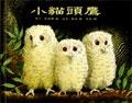 More about 小貓頭鷹