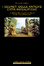 Cover of I segreti delle antiche città megalitiche
