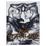 Cover of Tom of Finland. The Art of Pleasure