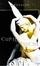 Cover of Cupid and Psyche
