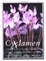 Cover of Cyclamen