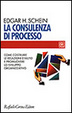 Cover of La consulenza di processo
