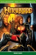 Cover of Witchblade vol. 12