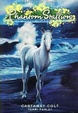 Cover of Castaway Colt