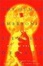 Cover of "The Human Embryonic Stem Cell Debate"