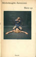 Cover of Blow-up