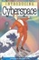 Cover of "Introducing Cyberspace"