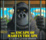 Cover of The Escape of Marvin the Ape