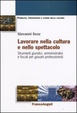 Cover of Lavorare nella cultura e nello spettacolo. Strumenti giuridici, amministrativi e fiscali per giovani professionisti