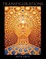 Cover of Transfigurations