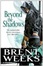 Cover of 'Beyond the Shadows'