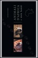 Cover of Animali d'Africa e storie bestiali