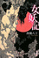 Cover of 女妖記