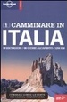 Cover of Camminare in Italia